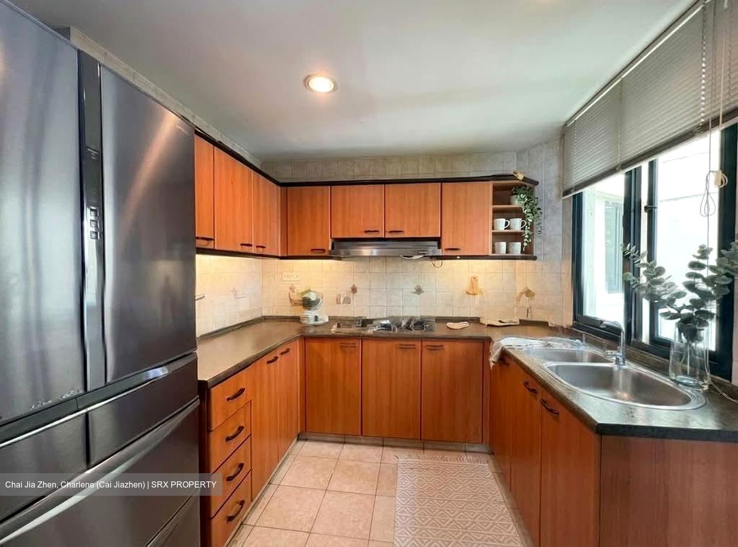 Simsville (D14), Condominium #553724341